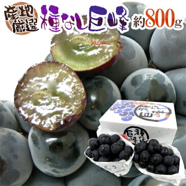 【送料無料】産地厳選 ”種無し巨峰” 秀品 約800g 化粧箱 ぶどう【予約 7月以降】