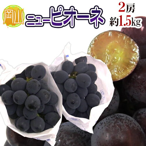 岡山産 種なしぶどう ”ニューピオーネ” 秀品 特大2房 約1.5kg【予約 7月下旬以降】 送料無料のサムネイル