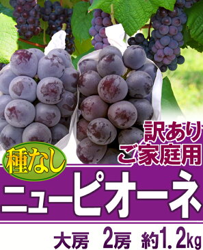 【送料無料】お試し価格！岡山産 ”種なしニューピオーネ” 2房 約1.2kg ちょっと訳あり【予約 9月以降】