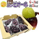 【送料無料】【予約】岡山産 ちょっと訳あり ”種なしニューピオーネ” 6〜8房 約5kg 大粒・大房・大ボリューム！（9月〜10月発送）【楽ギフ_のし宛書】