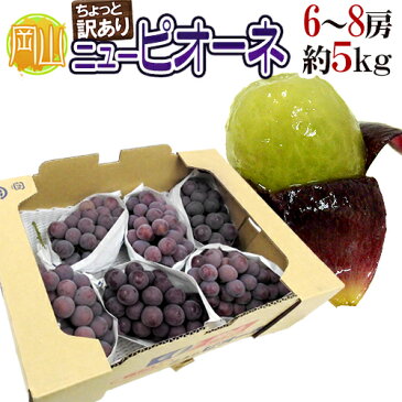 【送料無料】岡山産 ”種なしニューピオーネ” 6〜8房 約5kg ちょっと訳あり【予約 9月以降】