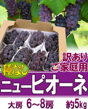 【送料無料】岡山産 ”種なしニューピオーネ” 6〜8房 約5kg ちょっと訳あり【予約 9月以降】