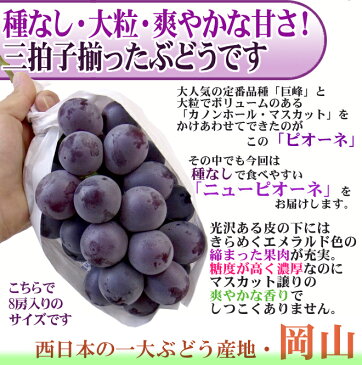 【送料無料】岡山産 ”種なしニューピオーネ” 6〜8房 約5kg ちょっと訳あり【予約 9月以降】