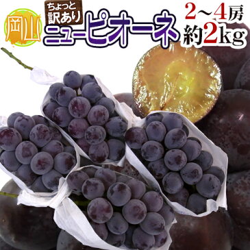 【送料無料】岡山産 ”種なしニューピオーネ” 2〜4房 約2〜2.5kg ちょっと訳あり【予約 9月以降】