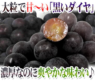 【送料無料】岡山産 種なしぶどう ”ニューピオーネ” 秀品 3〜5房 約2kg 化粧箱 種なしピオーネ【予約 7月中旬以降】