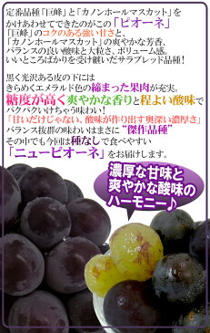 【送料無料】岡山産 種なしぶどう ”ニューピオーネ” 秀品 3〜5房 約2kg 化粧箱 種なしピオーネ【予約 7月中旬以降】