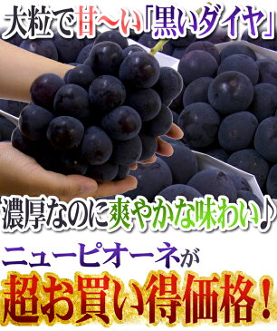 岡山産 ”種なしニューピオーネ” 超大房 1房 約800g以上 ちょっと訳あり 4房購入で送料無料！5房購入で1房おまけ♪【予約 9月以降】