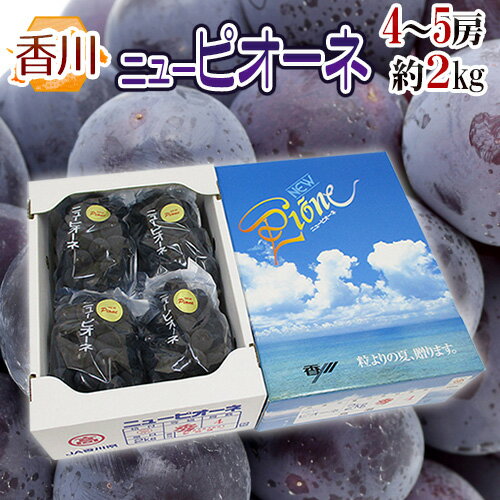 香川産 種なしぶどう ”ニューピオーネ” 秀品 4〜5房 約2kg 化粧箱 種なしピオーネ【予約 7月中旬以降】 送料無料