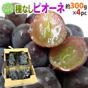 ぶどう 福岡県 八女産 ”種なしピオーネ” 秀品 約300g×4pc 合計約1.2kg ぶどう【予約 6月末以降】 送料無料