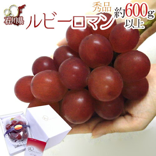 石川産 ”ルビーロマン” 1房 約600g以上【予約 8月以降】 送料無料