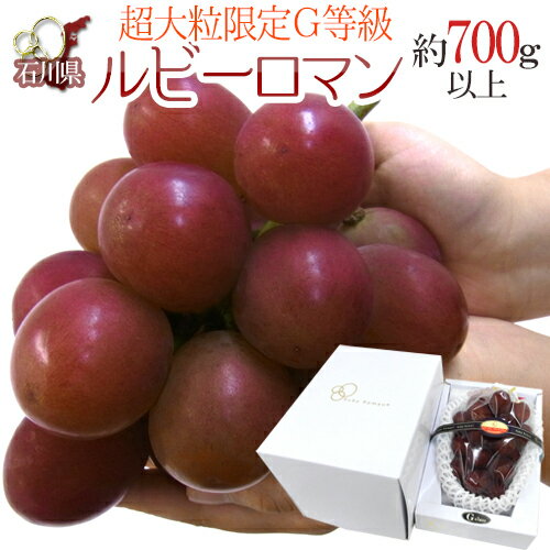 石川産 ”ルビーロマン” 秀G 超大房・大粒 1房 約700g以上【予約 8月以降】 送料無料のサムネイル