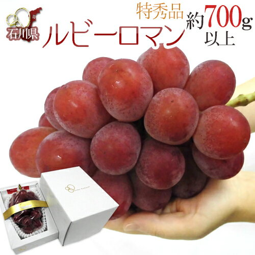 石川産 ”ルビーロマン” 特秀 特大房 1房 約700g以上【予約 8月以降】 送料無料のサムネイル