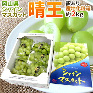 岡山産 ”シャインマスカット「晴王」” 訳あり 約2kg 大きさおまかせ 産地化粧箱 ぶどう【予約 7月下旬以降】 送料無料