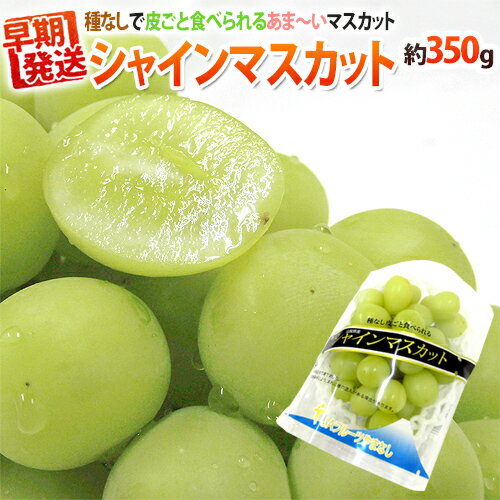 生産地 国内産（岡山・山梨・長野など） 内容量 1房 約350g（生ものですので多少の前後はお許しください） 等級・サイズ 秀品 保存方法 冷蔵庫で保管し、なるべくお早目にお召し上がりください。 送料 送料900円（北海道は送料1,900円、沖縄県は送料2,900円頂戴いたします） 8パックまで同梱可能→1件分の送料で発送できます。 ※送料無料ライン対象商品について 常温配送の商品に限り、3,980円以上のご購入で送料無料！（沖縄県宛は9,800円以上のご購入で送料無料） 但し、1つにまとめて配送できない場合は、別途送料が必要となる場合がございます。 詳細はコチラをご確認ください。 発送予定日及びお届け日のご指定 ◆ 予約商品の場合 ◆ ※ 商品名に【予約】と記載されている商品が予約商品となります。 入荷開始後及び、入荷次第の発送となります。 現在まだ入荷が開始されていない商品につきましては商品タイトルに記載しております時期を目安にお考え下さい。 天候・入荷状況によってはお届け時期が大幅に前後する場合がございます。 また、予約商品についてはお届け日のご指定は不可となっております。 帰省や旅行等で、ご不在でお受け取りが出来ないお日にちがある場合は、ご注文の際にご都合の悪いお日にちを【ご要望欄】にご記入ください。 ご予定が変わった場合もその都度ご連絡いただければ、出来るだけ対応させていただきます。 お届け日の確定・お知らせは発送日当日となります。 どうぞご了承ください。 ◆ 通常商品の場合 ◆ ご注文受付後、1〜5営業日の出荷となります。 入荷状況によってはお待ちいただくこともございます。 なお、ご注文のタイミングによっては即日の発送となる場合もございますのでご都合の悪いお日にち等ございましたらご注文の際、【ご要望欄】にお書き頂きますようお願い申し上げます。 ご希望のお届け日がある場合は【ご要望欄】にその旨ご記入ください。 ※なるべく前もってのご注文をおすすめ致します。 入荷状況によってはご要望にお応えできない場合もございます。 その際は早めにご連絡させていただきます。 配送方法 ヤマト運輸【フルーツ】【果物】