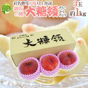 山梨県 最高峰桃 ”大糖領” 3玉 約1kg 化粧箱【予約 7月末以降】 送料無料