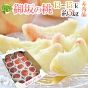 山梨県産 ”御坂の桃” 赤秀品 13〜15玉 約5kg 超大玉 産地箱【予約 7月下旬以降】 送料無料