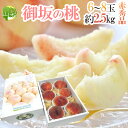 ”山梨県産 御坂の桃” 赤秀品 6~8玉 約2.5kg 化粧箱【予約 7月下旬以降】 送料無料