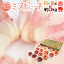 福島県産 ”ミスピーチ” 赤秀品 13〜18玉 約5kg 産地箱【予約 7月下旬以降】 送料無料