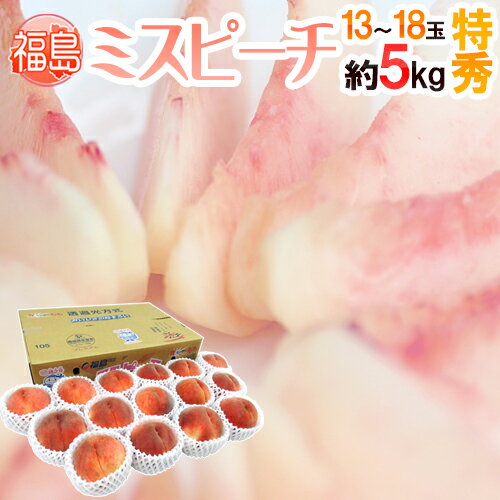 【エントリーでポイント最大10倍】福島県産 ”ミスピーチ” 特秀品 13〜18玉 約5kg 産地箱 糖度12度以上【予約 7月下旬以降】 送料無料のサムネイル