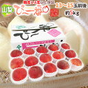 山梨県産 特選桃 ”ぴ~一番” 13~15玉前後 約5kg 特秀品/信玄等級 糖度13度以上保証【予約 7月下旬以降】 送料無料