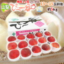 山梨県産 特選桃 ”ぴ〜一番” 13〜15玉前後 約5kg 青秀品 糖度11度以上保証【予約 7月下旬以降】 送料無料