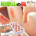 【7/10限定!全額ポイントバックの大チャンス】紀州 和歌山の ”桃” 秀品 大玉11〜15玉入り 約4kg【予約 7月以降】 送料無料