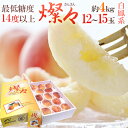 和歌山県 究極の桃 ”燦々(さんさん)” 大玉12〜15玉 約4kg 化粧箱 糖度14度以上【予約 7月中旬以降】 送料無料