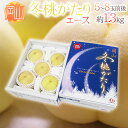 岡山県産 ”冬桃がたり” 等級エース 訳あり 5~8玉前後 約1.3kg 化粧箱【予約 11月中下旬以降】 送料無料