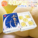 岡山県産 ”冬桃がたり” 等級ロイヤル 5~8玉前後 約1.3kg 化粧箱【予約 11月中下旬以降】 送料無料