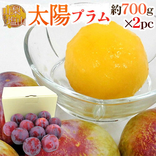 山梨県産 ”太陽プラム《1箱》” 秀品 6玉前後 700g×2pc（合計12玉前後 約1.4kg） すもも【予約 8月中下旬以降】 送料無料のサムネイル