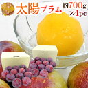 山梨県産 ”太陽プラム《2箱》” 秀品(1箱あたり12玉前後 約1.4kg) すもも【予約 8月中下旬以降】 送料無料