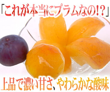 【送料無料】山梨・長野産 ”貴陽プラム” 6〜11玉 約2kg（風袋込） 化粧箱入り【予約 7月〜8月】