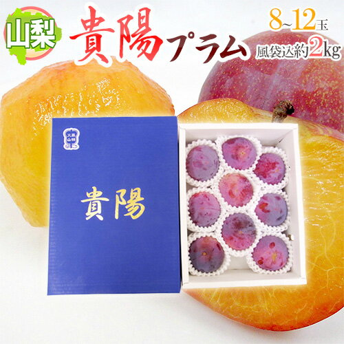 山梨産 ”貴陽” 8〜12玉 約2kg（風袋込）化粧箱 プラム【予約 7月〜8月】 送料無料