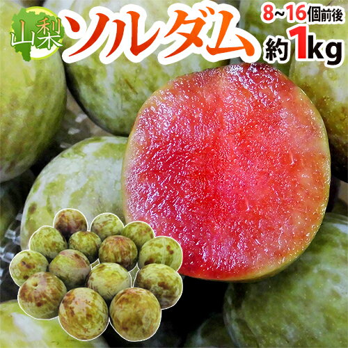 赤肉プラム ”山梨県産 ソルダム” 8～16玉前後 約1kg【予約 7月以降】 送料無料