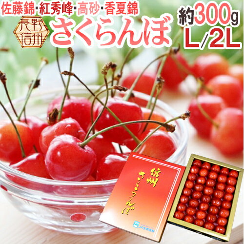 長野産 ”さくらんぼ” L〜2L 約300g 化粧箱入り 手詰め品 佐藤錦・紅秀峰ほか旬の品種で 【予約 5月以降】 送料無料