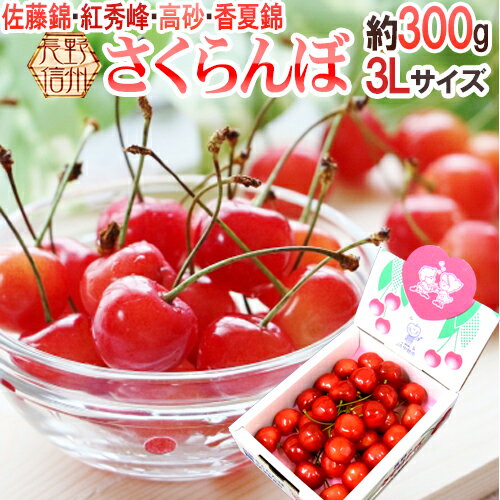 長野産 ”さくらんぼ” 3L 約300g 化粧箱入り バラ詰め 佐藤錦・紅秀峰ほか旬の品種で 【予約 5月以降】 送料無料