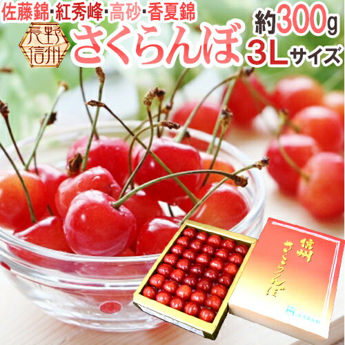 長野産 ”さくらんぼ” 3L 約300g 化粧箱入り 手詰め品 佐藤錦・紅秀峰ほか旬の品種で 【予約 5月以降】 送料無料