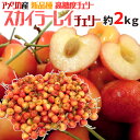 さくらんぼ アメリカ産 ”スカイラーレイチェリー” 約2kg さくらんぼ【予約 6月下旬以降】 送料無料