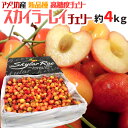 アメリカ産 ”スカイラーレイチェリー” 約4kg さくらんぼ【予約 6月下旬以降】 送料無料