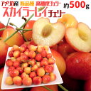 ”アメリカ産 スカイラーレイチェリー” 約500g さくらんぼ【予約 6月下旬以降】 送料無料