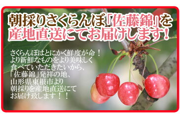 【送料無料】父の日ギフト 山形県東根産 ”さくらんぼ 佐藤錦 2L 秀品 チョコ箱 24粒”【6/15〜6/21のお届け予定 産地直送 予約】