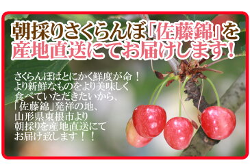 遅れてごめんね！ 母の日ギフト 山形県東根産 ”さくらんぼ 佐藤錦 L 秀品 チョコ箱 24粒”【5/11〜5/16のお届け 産地直送 予約】 送料無料