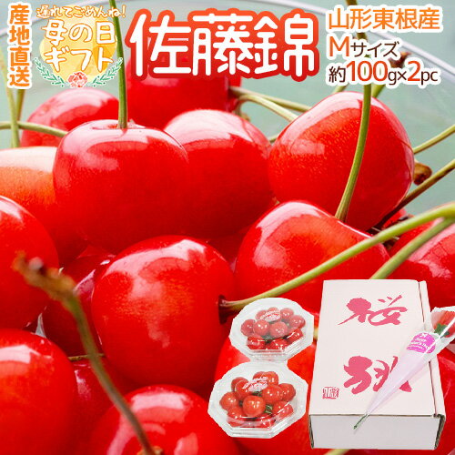 【エントリーで200Pプレゼント】【送料無料】遅れてごめんね！ 母の日ギフト 山形県東根産 ”さくらんぼ 佐藤錦 M 秀品 ダイヤpc 化粧箱入 100g×2pc”【5/12〜5/17のお届け 産地直送 予約】