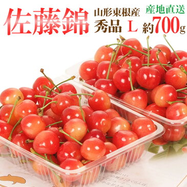 【送料無料】山形県東根産 ”さくらんぼ 佐藤錦 L 秀品 バラ詰 約700g”（350g×2pc） 化粧箱 露地栽培【6月下旬〜7月上旬発送 産地直送 予約】