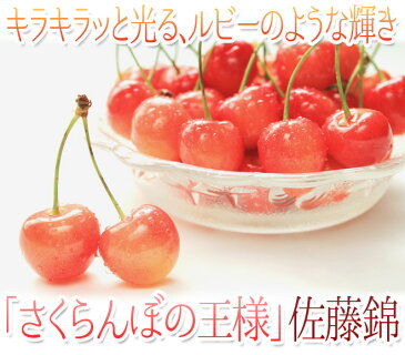 【送料無料】山形県東根産 ”さくらんぼ 佐藤錦 L 秀品 バラ詰 約700g”(350g×2pc) 化粧箱 露地栽培【6月下旬〜7月上旬発送 産地直送 予約】