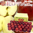 岩手江刺産 ”紅ロマンりんご” 秀品 24〜36玉 約10kg【予約 9月以降】 送料無料