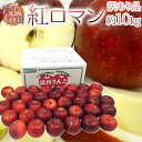 岩手江刺産 ”紅ロマンりんご” 訳あり 約10kg 大きさおまかせ【予約 9月以降】 送料無料