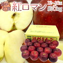 岩手江刺産 ”紅ロマンりんご” 秀品 12〜18玉 約5kg【予約 9月以降】 送料無料
