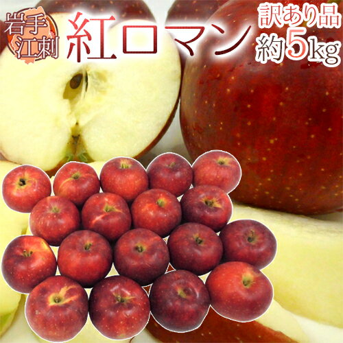 ”岩手江刺産 紅ロマンりんご” 訳あり 約5kg 大きさおまかせ【予約 9月以降】 送料無料のサムネイル