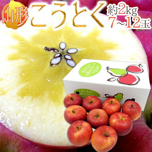 山形産 蜜だらけりんご ”こうとく（高徳）りんご” 7〜12玉前後 約2kg【予約 11月以降】 送料無料のサムネイル